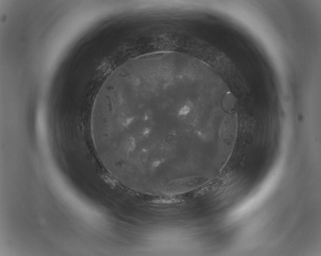 X0000078290765200611031231