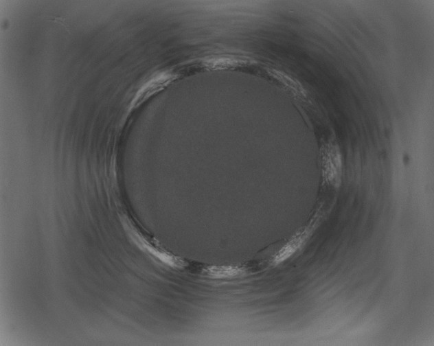 X0000078290766200611031231