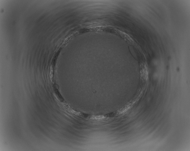 X0000078290767200611031231