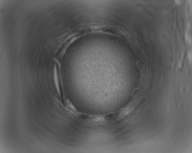 X0000078290768200611031231