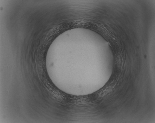 X0000078290769200611031231