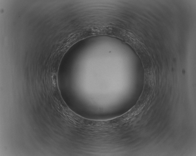 X0000078290770200611031231