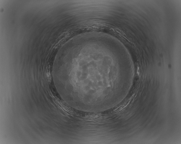 X0000078290771200611031231