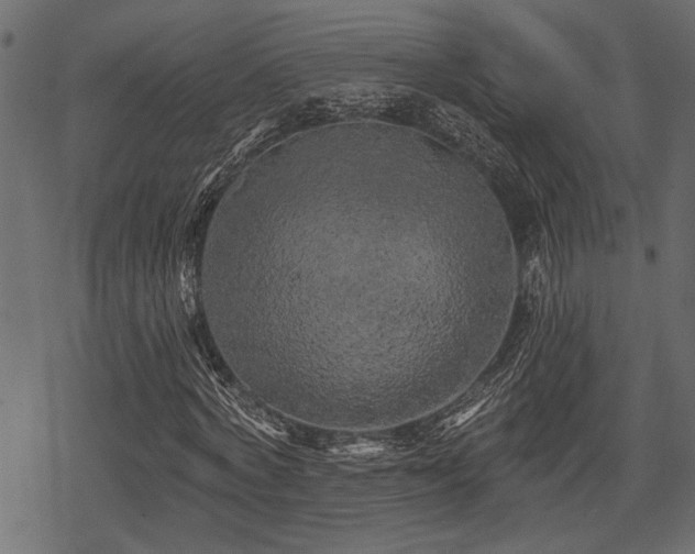 X0000078290772200611031231