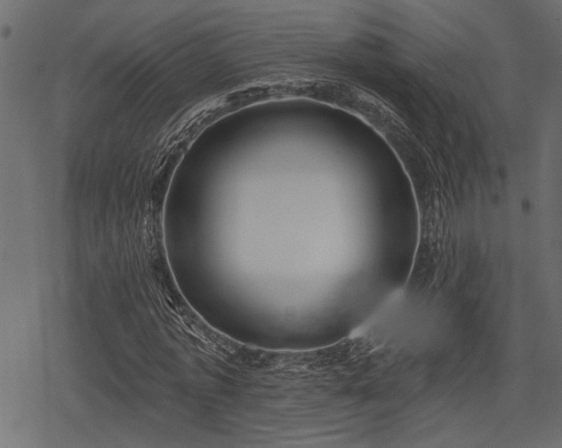 X0000078290773200611031231