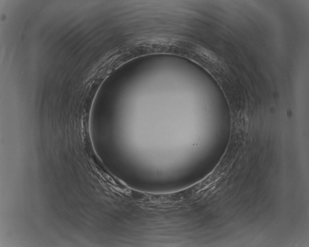 X0000078290774200611031231