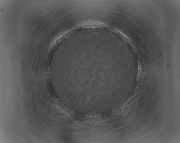 X0000078290775200611031231