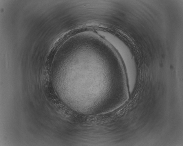 X0000078290776200611031230