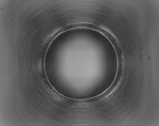 X0000078290777200611031230