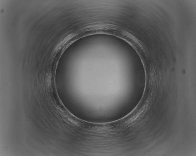 X0000078290778200611031230