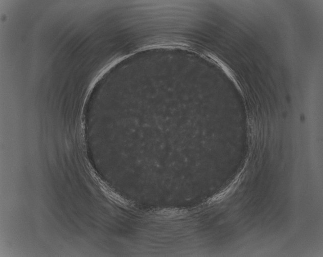 X0000078290779200611031230