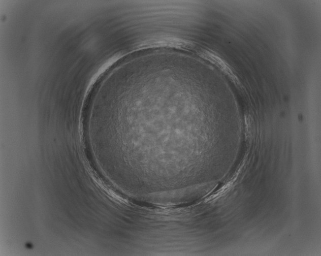 X0000078290780200611031230