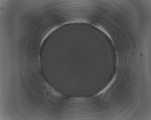 X0000078290781200611031230