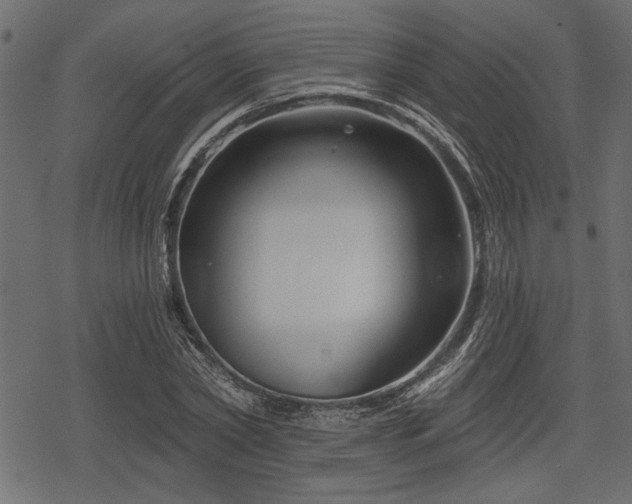 X0000078290782200611031230