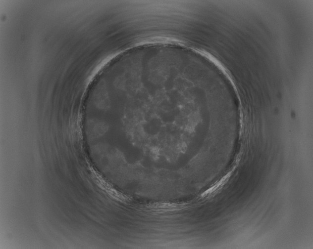 X0000078290783200611031230