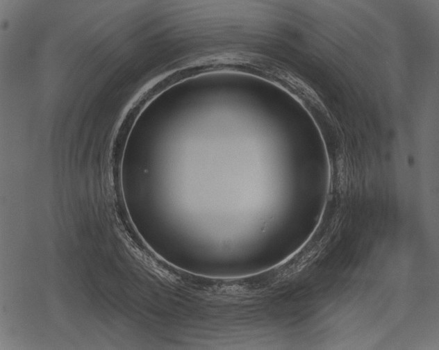 X0000078290784200611031230