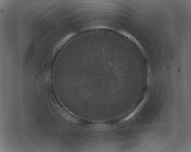 X0000078290785200611031230