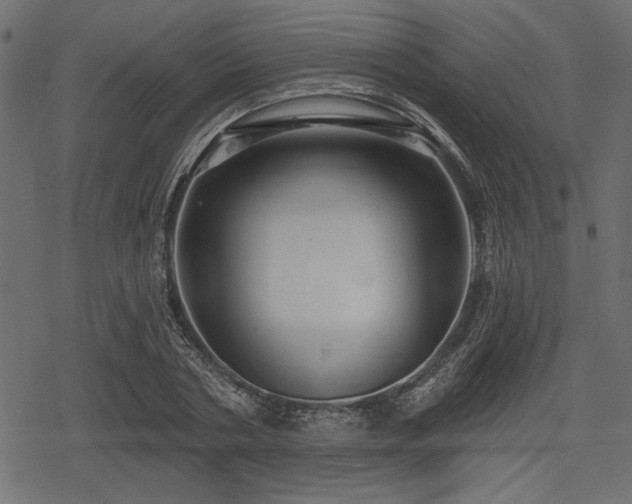 X0000078290786200611031230