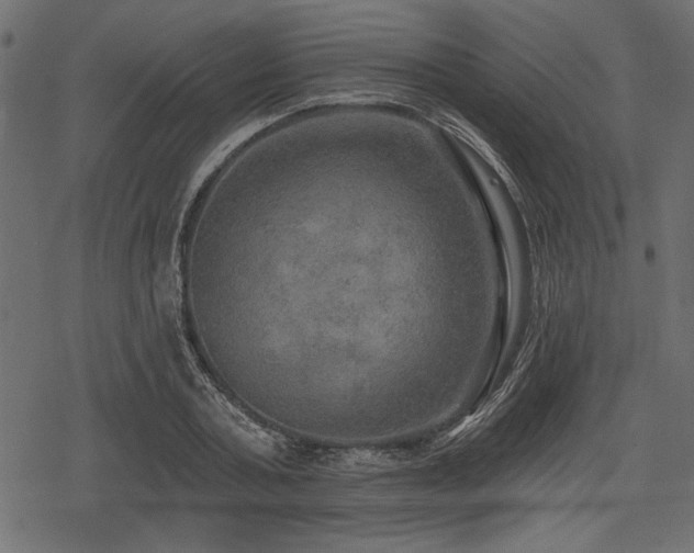 X0000078290787200611031230