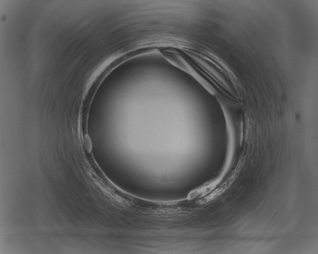 X0000078290788200611031230