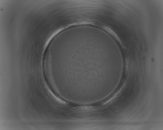 X0000078290789200611031230