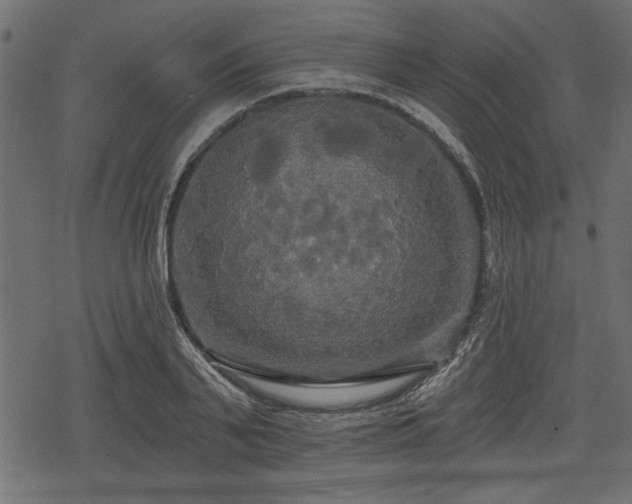 X0000078290791200611031230