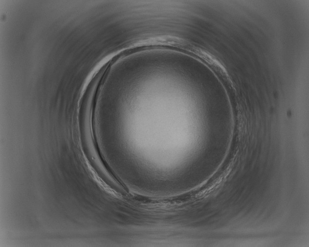 X0000078290792200611031230