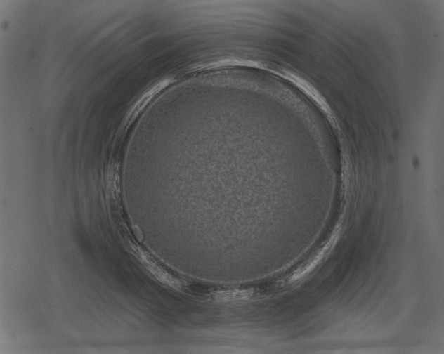 X0000078290793200611031230