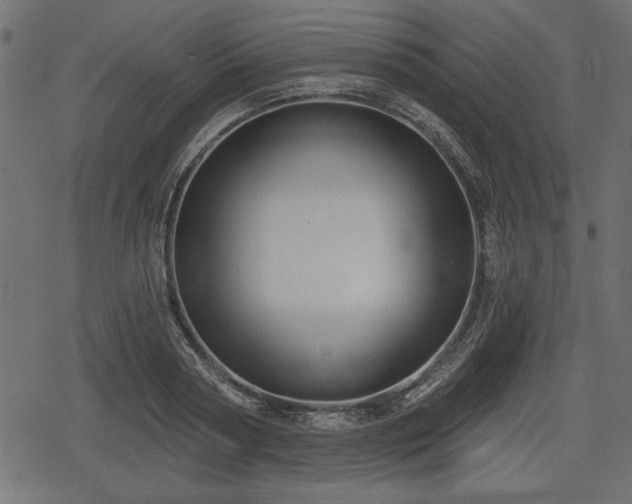 X0000078290794200611031230