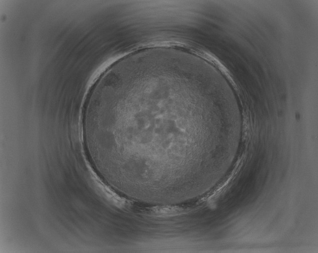 X0000078290795200611031230