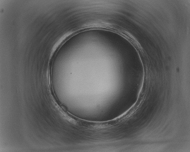 X0000078290796200611031230