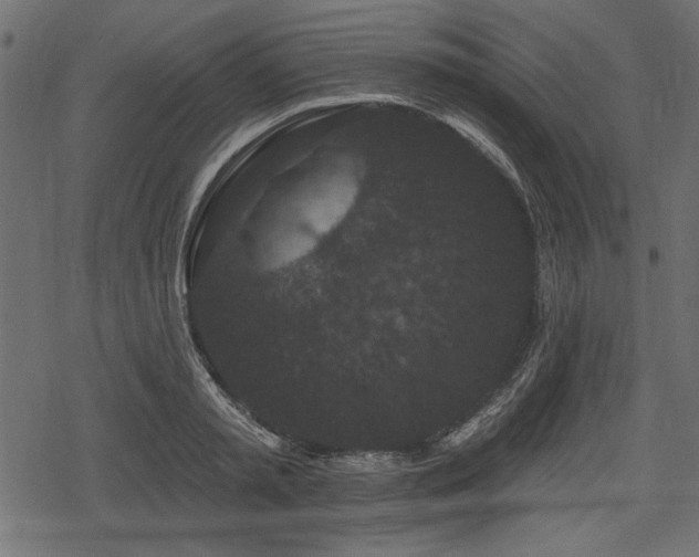 X0000078290797200611031230