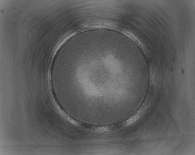 X0000078290798200611031230