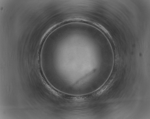 X0000078290799200611031230