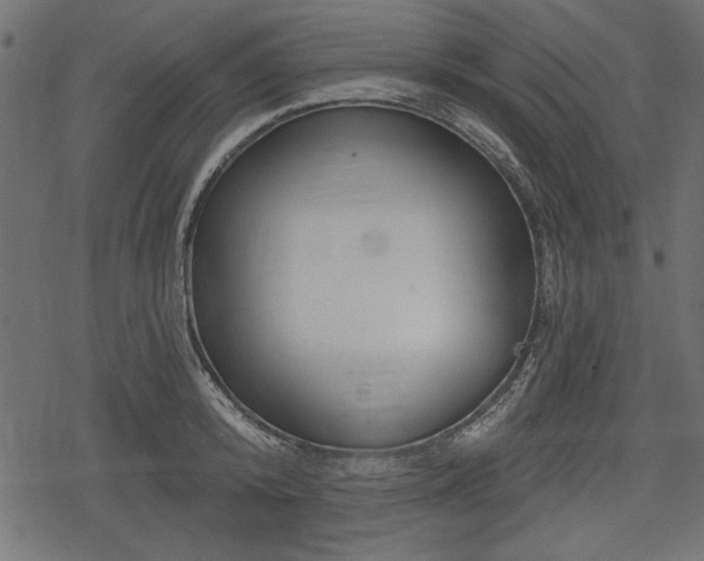 X0000078290800200611031230