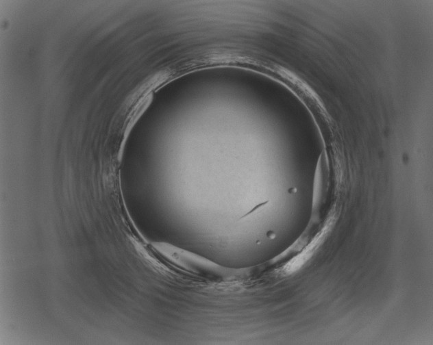 X0000078290801200611031230