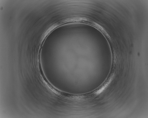 X0000078290802200611031230