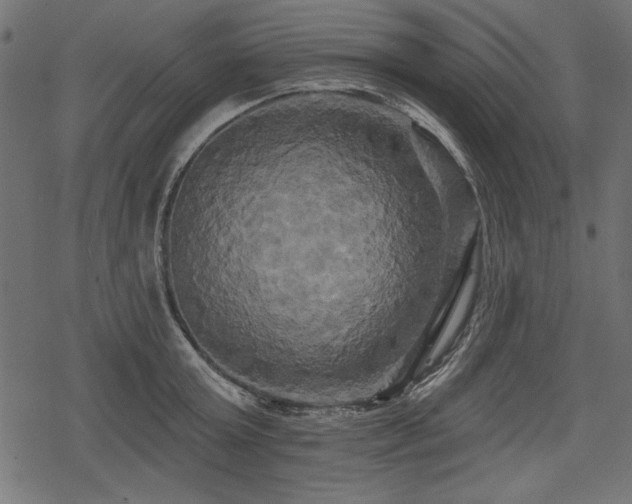 X0000078290803200611031230