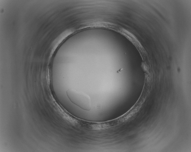 X0000078290804200611031230