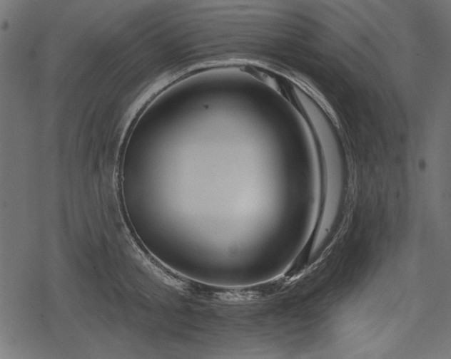 X0000078290805200611031230