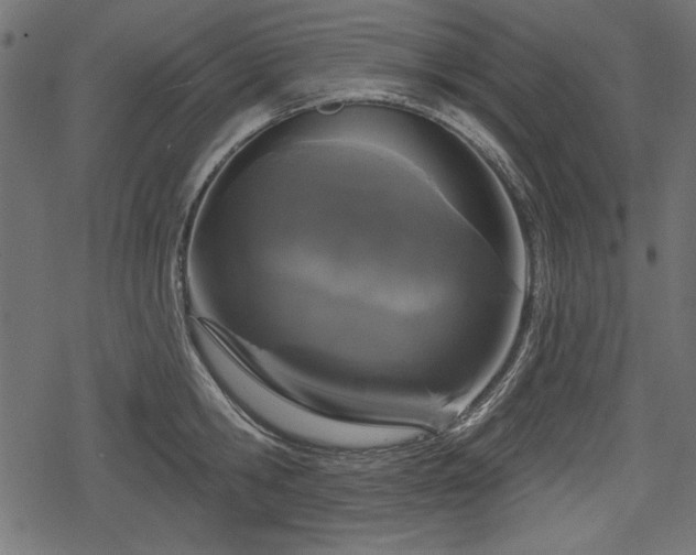 X0000078290806200611031230