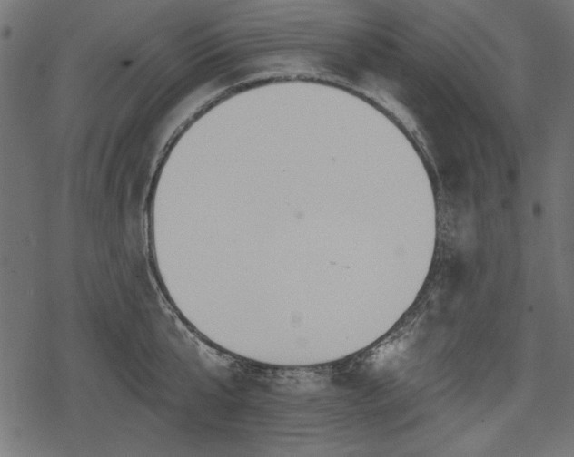 X0000078290807200611031230