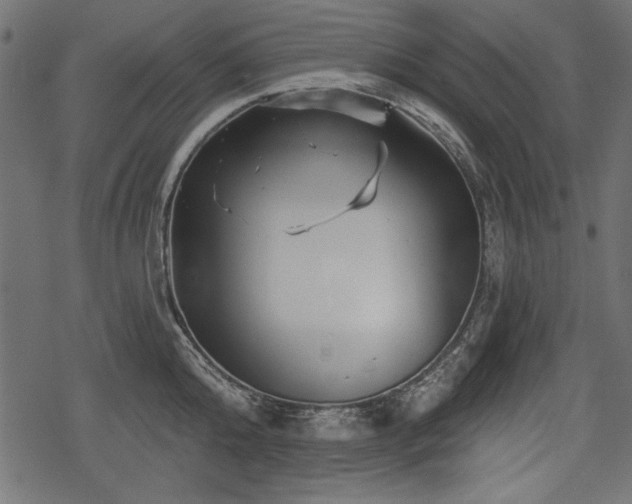 X0000078290808200611031230