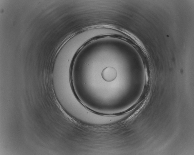 X0000078290809200611031230