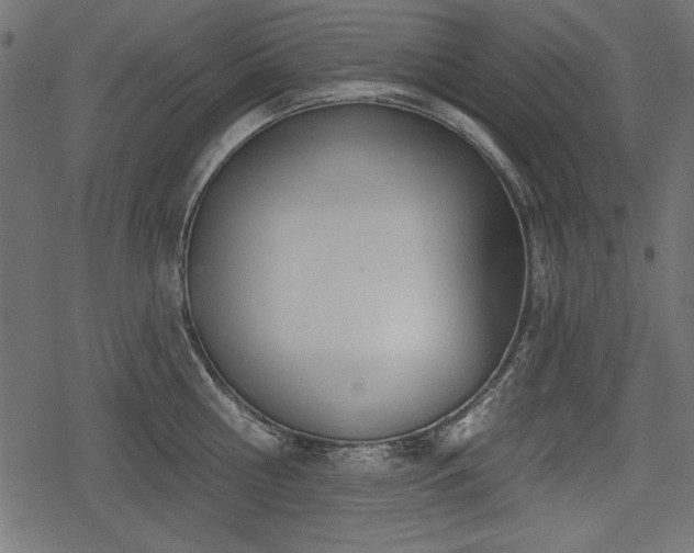 X0000078290810200611031230