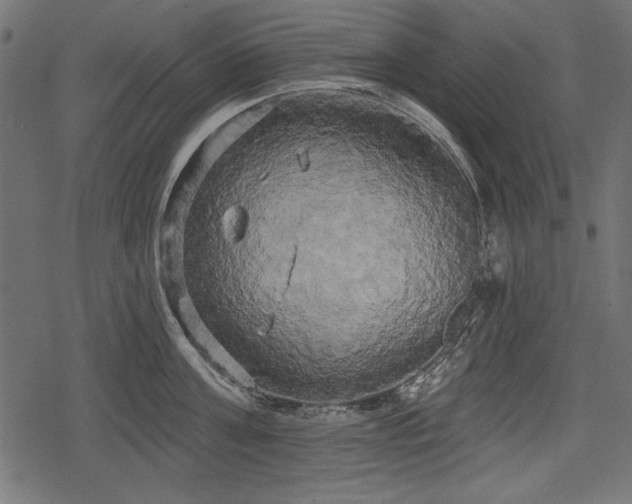 X0000078290811200611031230