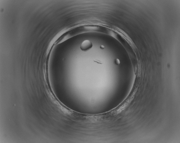 X0000078290812200611031230