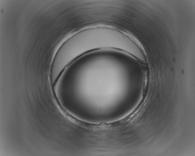 X0000078290813200611031230