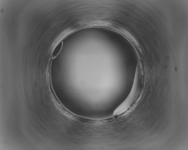 X0000078290814200611031230