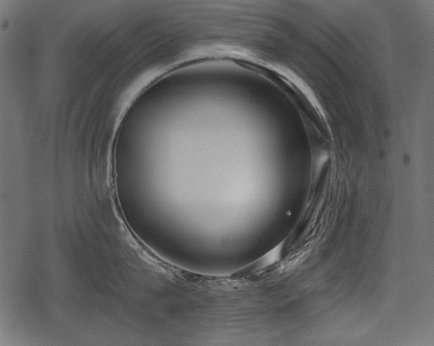 X0000078290815200611031230